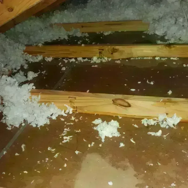 Attic Water Damage in South Gate, CA