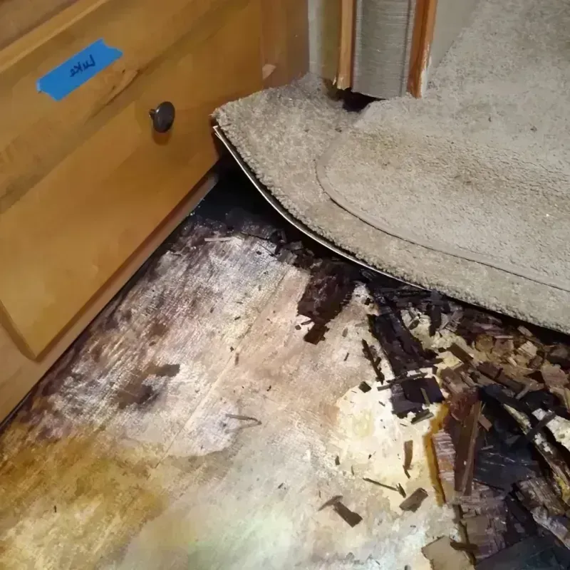 Wood Floor Water Damage in South Gate, CA